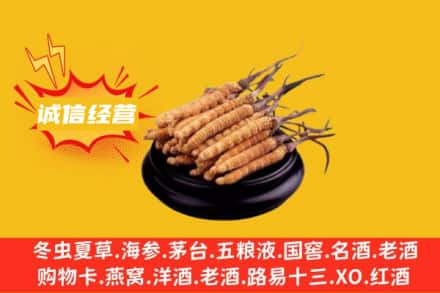 润州区回收冬虫夏草